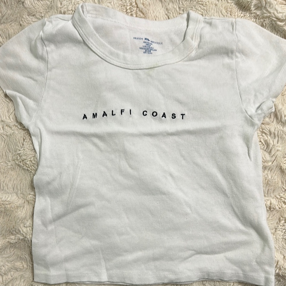 Brandy Melville Crop Top